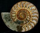 / Inch Split Ammonite Pair - Crystal Pockets #5215-4